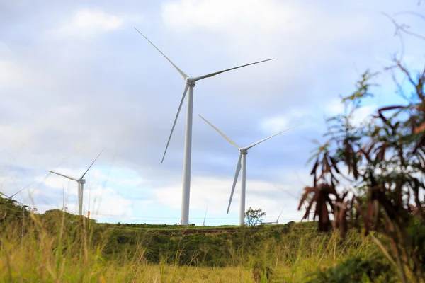 Windturbinenpark auf Hawaii — Stockfoto