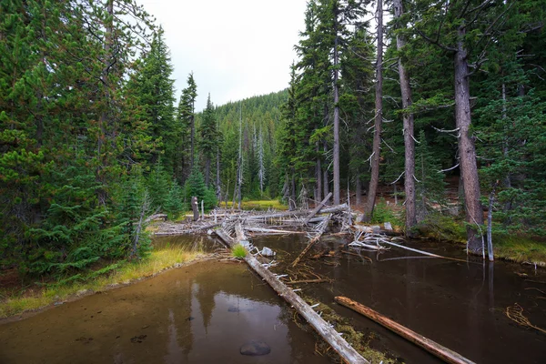 Devils Lake Central Oregon — Stock Photo, Image