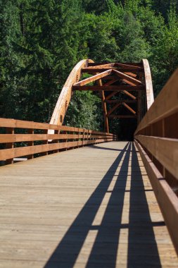 Tioga köprüsü üzerinde Kuzey Umpqua Nehri
