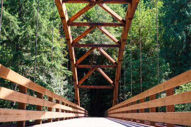 Tioga köprüsü üzerinde Kuzey Umpqua Nehri