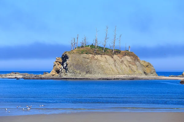 Sunset Bay State Park Oregon — Foto de Stock