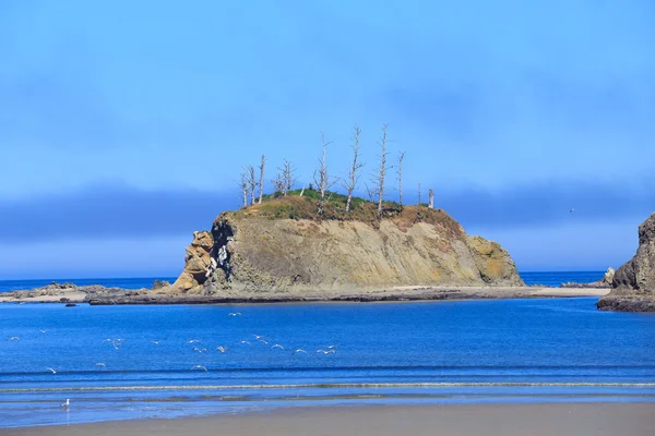 Sunset Bay State Park Oregon — Stok fotoğraf