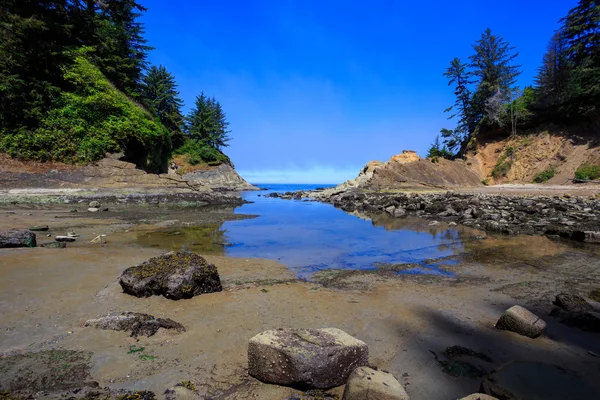 Sunset Bay State Park Oregon — Stock fotografie