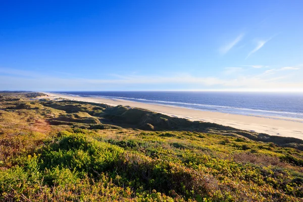 Oregon stranden nära Florens — Stockfoto