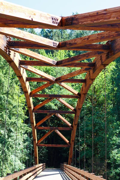 Ponte Tioga sobre o rio Umpqua do Norte — Fotografia de Stock