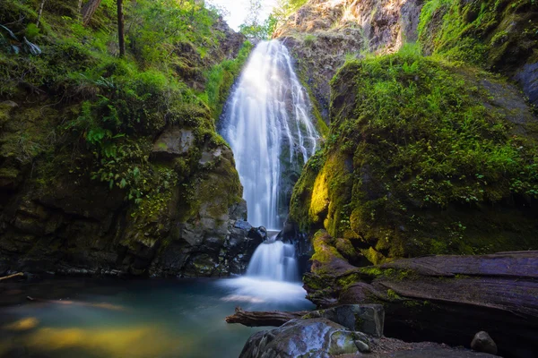 Susan Creek Falls Oregon — Stock Photo, Image