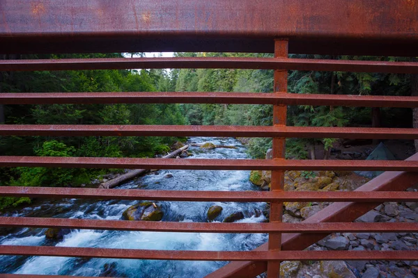 River Umpqua severní Oregon — Stock fotografie