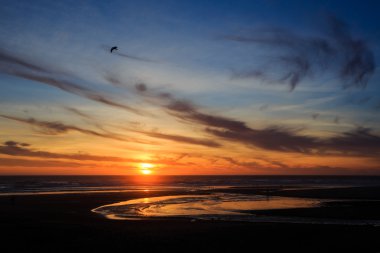 Oregon Beach günbatımı Lincoln City