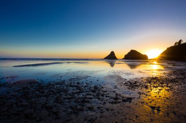 Gün batımında Heceta baş Beach Oregon kıyılarında