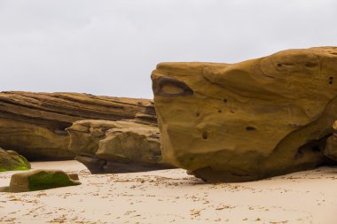 Kaya ayrıntı La Jolla Beach California