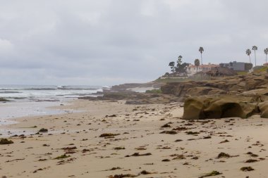 La Jolla Beach San Diego Kaliforniya
