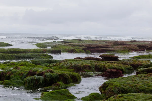 Grandes Ondas em La Jolla California — Fotografia de Stock