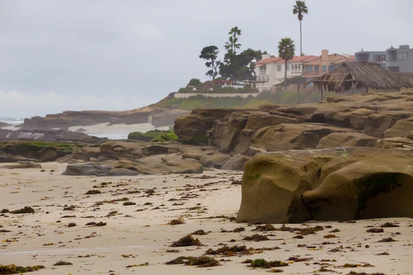 La Jolla Beach Kalifornie San Diego — Stock fotografie