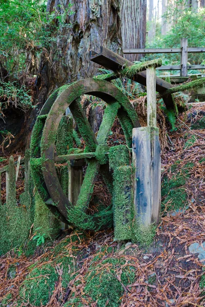 Roda de água coberta de musgo na floresta — Fotografia de Stock