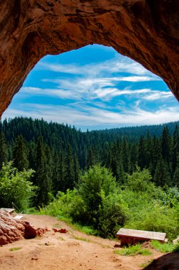 Bosna-Hersek 'teki Bijambare mağaralarından güneşli bir günde güzel bir orman manzarası