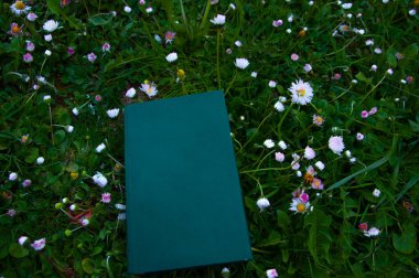 Çiçeklerle çevrili yeşil çimenler üzerine kitap