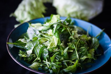 Taze marul karışımı. Yakın plan.