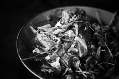 Taze marul karışımı. Yakın plan.