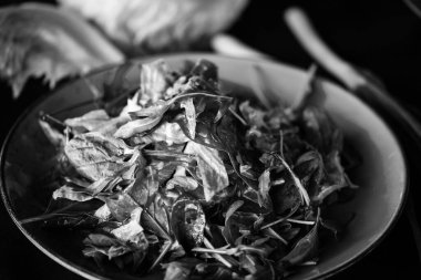 Taze marul karışımı. Yakın plan.