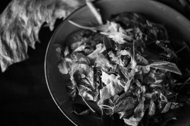 Taze marul karışımı. Yakın plan.