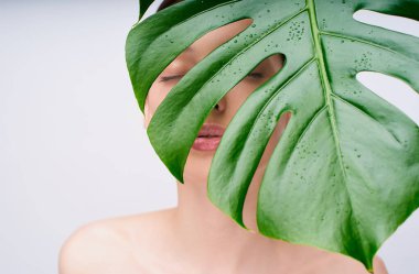 Mükemmel sağlıklı bir cilde sahip, gözleri kapalı, yüzünü yeşil bir canavar yaprağıyla kaplayan çekici genç bir kadının görüntüsü. Beyaz üzerinde izole edilmiş muhteşem bir kadın model. Güzellik konsepti.