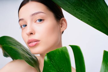 Sağlıklı cilt ve palmiye yaprakları olan genç ve güzel bir kadın. Yeşil bitkileri olan çekici beyaz bir kızın yakın plan yeni yüzü. Doğal makyajlı bir model. Cilt bakımı kavramı.