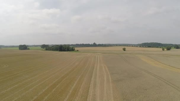 Vue aérienne d'une moissonneuse-batteuse moissonneuse-batteuse — Video