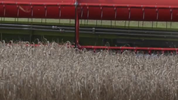 スローモーション、小麦を収穫するコンバインの芝刈り機のクローズ アップ — ストック動画