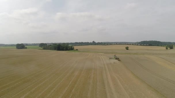 Letecký pohled na sklizeň pšenice s kombajn — Stock video