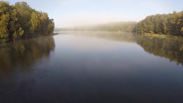 Vol lent à basse altitude au-dessus d'un lac par un matin brumeux — Video