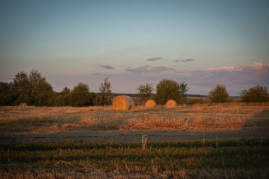 Gün batımında bir tarlada saman ruloları.