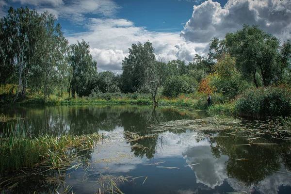 Cumulus beyaz bulutları ve ağaçlarıyla yaz manzarası