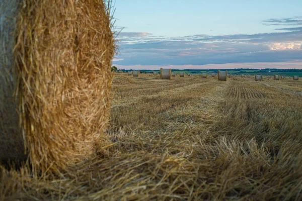 Twisted Rolls Straw Field Sunset — Stock Photo, Image