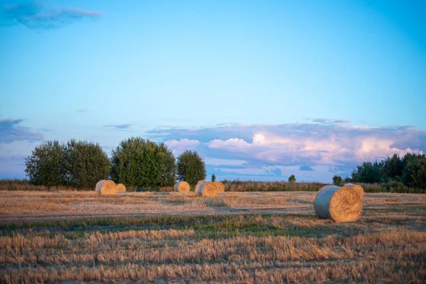 Sodrott Szalmatekercs Mezőn Naplementekor — Stock Fotó