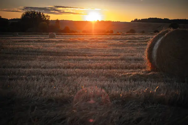 Tvinnade Halmrullar Ett Fält Vid Solnedgången — Stockfoto