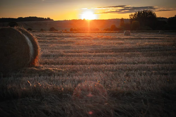 Rolos Torcidos Palha Campo Pôr Sol — Fotografia de Stock