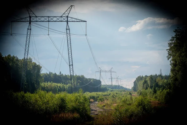 森の高圧送電線 — ストック写真