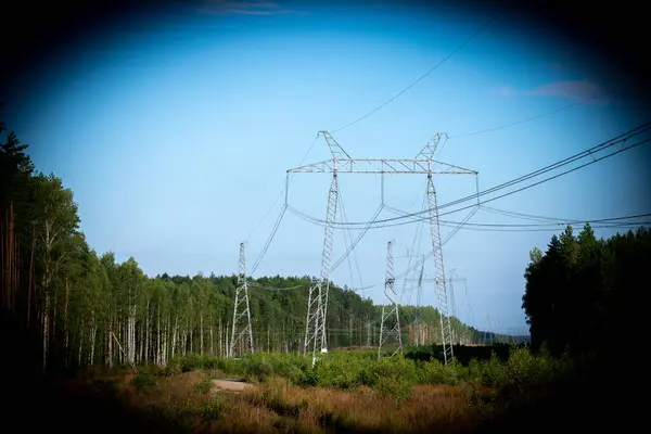 森の高圧送電線 — ストック写真