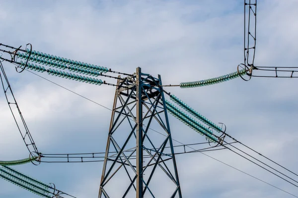 森の高圧送電線 — ストック写真