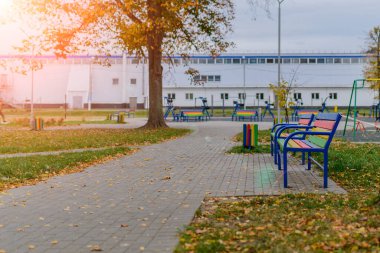 Yeşil yaprak, su damlası, bahar orman dalı