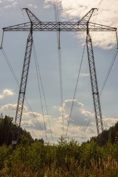 夏の森の高圧送電線ポール — ストック写真