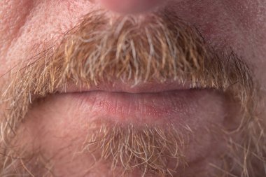 Sakallı ve bıyıklı bir adamın güzel ve seksi dudakları. Yaklaş.