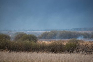 Bahar akşamları otobanın yanında kuru otlar yanar.