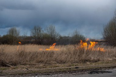 Bahar akşamları otobanın yanında kuru otlar yanar.