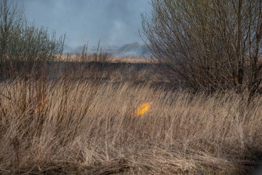 Bahar akşamları otobanın yanında kuru otlar yanar.
