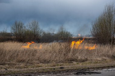 Bahar akşamları otobanın yanında kuru otlar yanar.