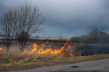 Bahar akşamları otobanın yanında kuru otlar yanar.