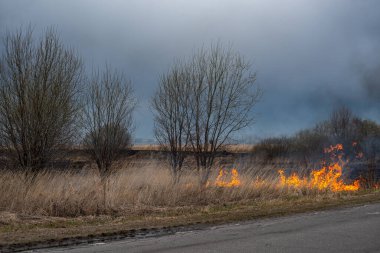 Bahar akşamları otobanın yanında kuru otlar yanar.
