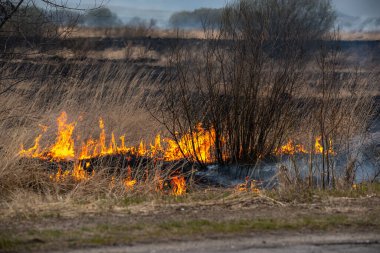 Bahar akşamları otobanın yanında kuru otlar yanar.