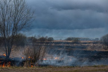 Bahar akşamları otobanın yanında kuru otlar yanar.